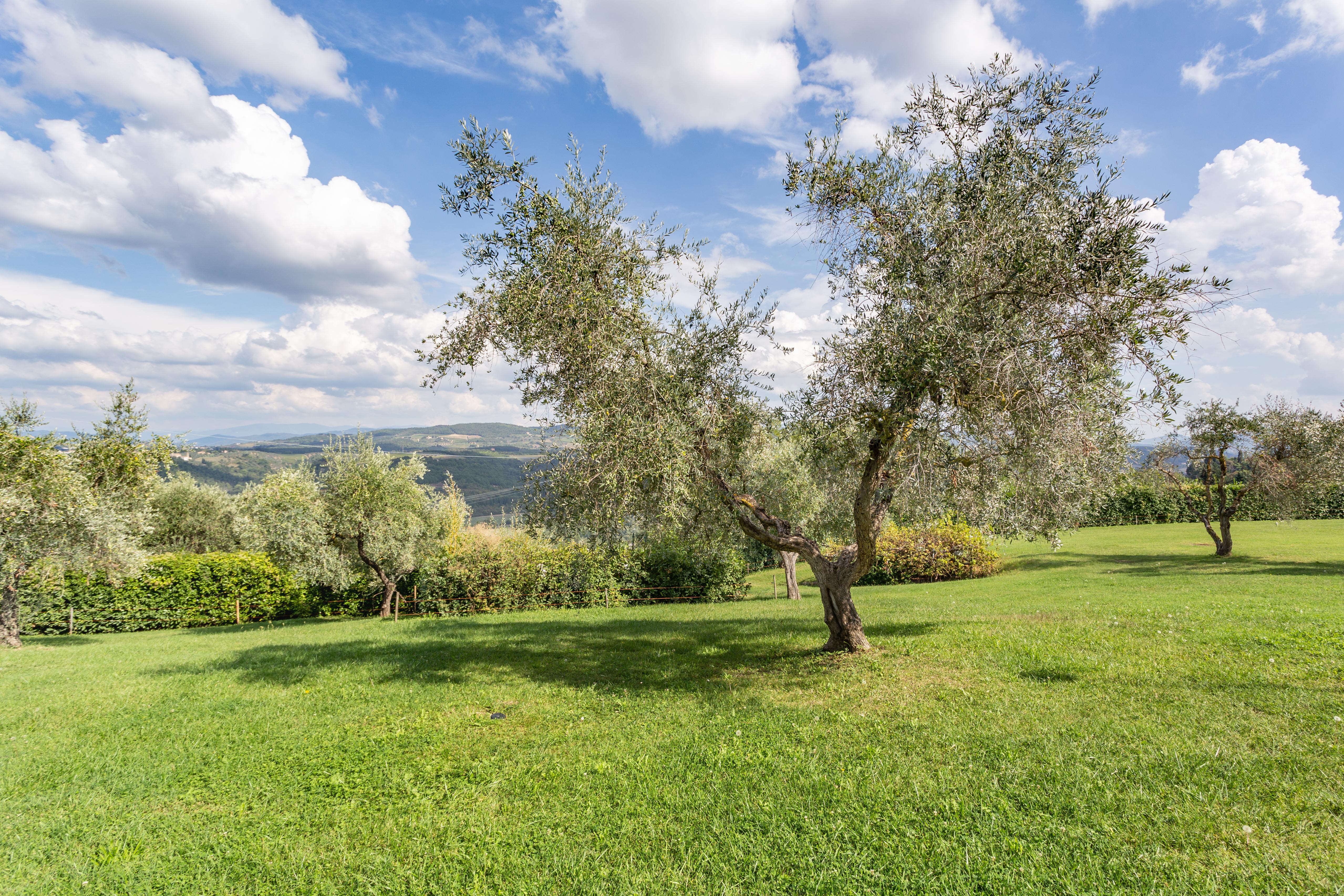 Fattoria Querceto Guest House Tavarnelle Val di Pesa Exterior photo